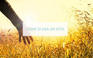 Come si usa un sito