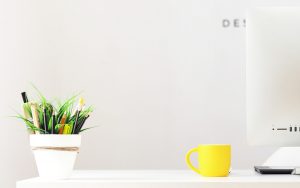 Quanto costa un sito web in WordPress